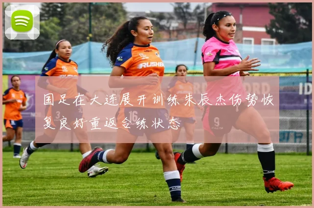 国足在大连展开训练朱辰杰伤势恢复良好重返合练状态