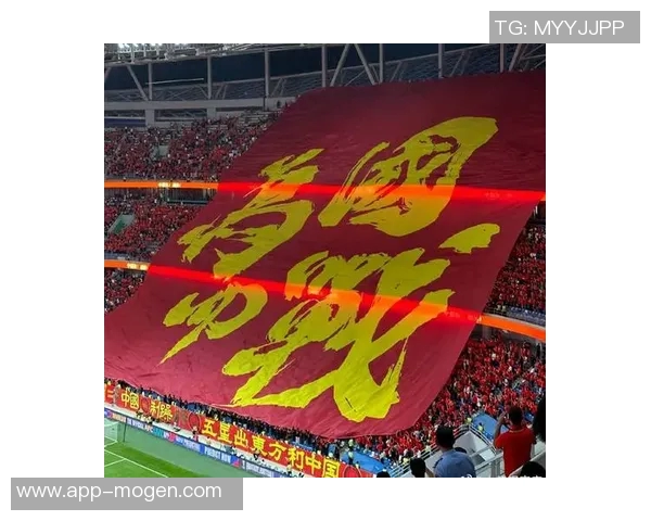 毛剑卿谈国足选帅外教与土帅应共同协商提升球队实力